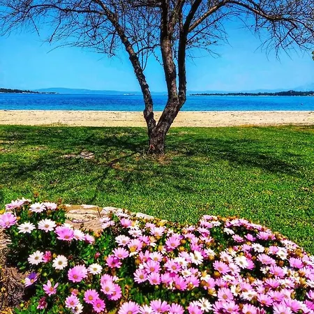 Stamos And Apartmán *